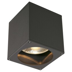 Outdoor ceiling light Big Theo, anthracite, 130 mm, gu10