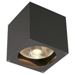 Outdoor wall luminaire Big Theo, anthracite, 1-flame, gu10
