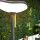 LED Solar Außenstehleuchte Poppy in Anthrazit und Grün IP54