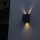 LED Wandleuchte Gemini in Schwarz-matt 10W 400lm IP54 warmweiß 1-flammig