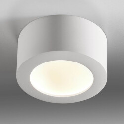 led ceiling light Bowl