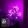 Smarte WLAN LED Tischleuchte RGB Cherry Blossom in Schwarz und Transparent 10W IP44