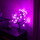 Smarte WLAN LED Tischleuchte RGB Cherry Blossom in Schwarz und Transparent 10W IP44