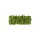 LED Wandleuchte Green Carlo in Moos und Natur-dunkel 4,8W 130lm