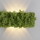 LED Wandleuchte Green Carlo in Moos und Natur-dunkel 4,8W 130lm