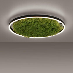 LED Deckenleuchte Green Ritus in Moos