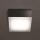 LED Wand- und Deckenleuchte in Graphit IP67