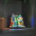 LED Weihnachtshaus RGB in Mehrfarbig 24x 0,06W 48lm