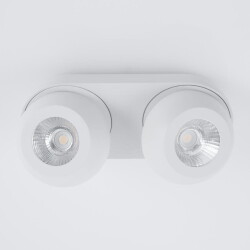 LED Deckenleuchte Gon in Weiß-matt 2x 5W 800lm